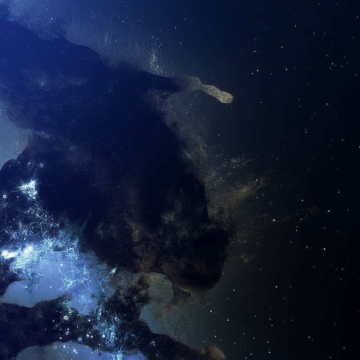 The Space We Live In